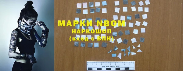 сатива Баксан