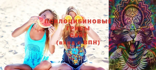 мдпв Пересвет