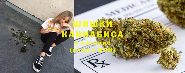 гашик Переславль-Залесский