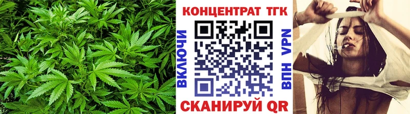 Дистиллят ТГК Wax Балашов