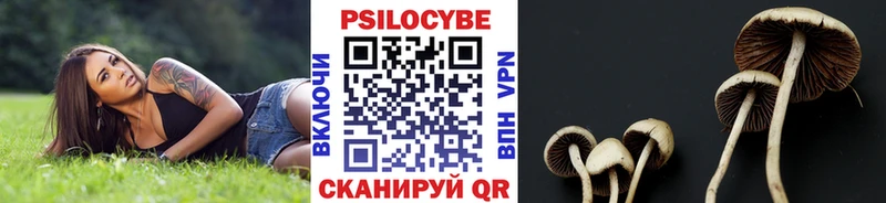 Псилоцибиновые грибы мицелий  нарко площадка формула  Балашов 